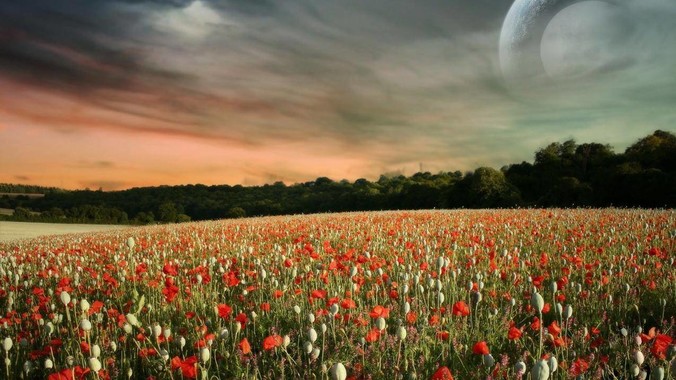 女明星陪酒真的存在吗?